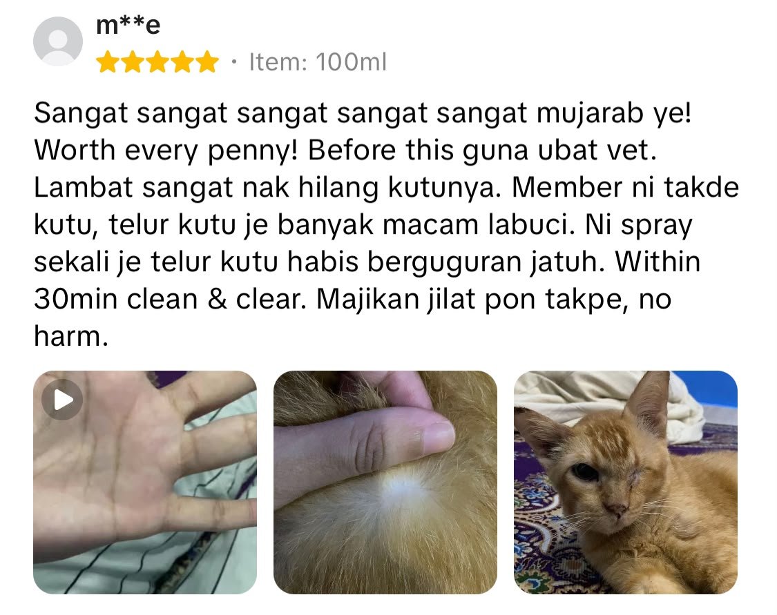 Testimoni 1